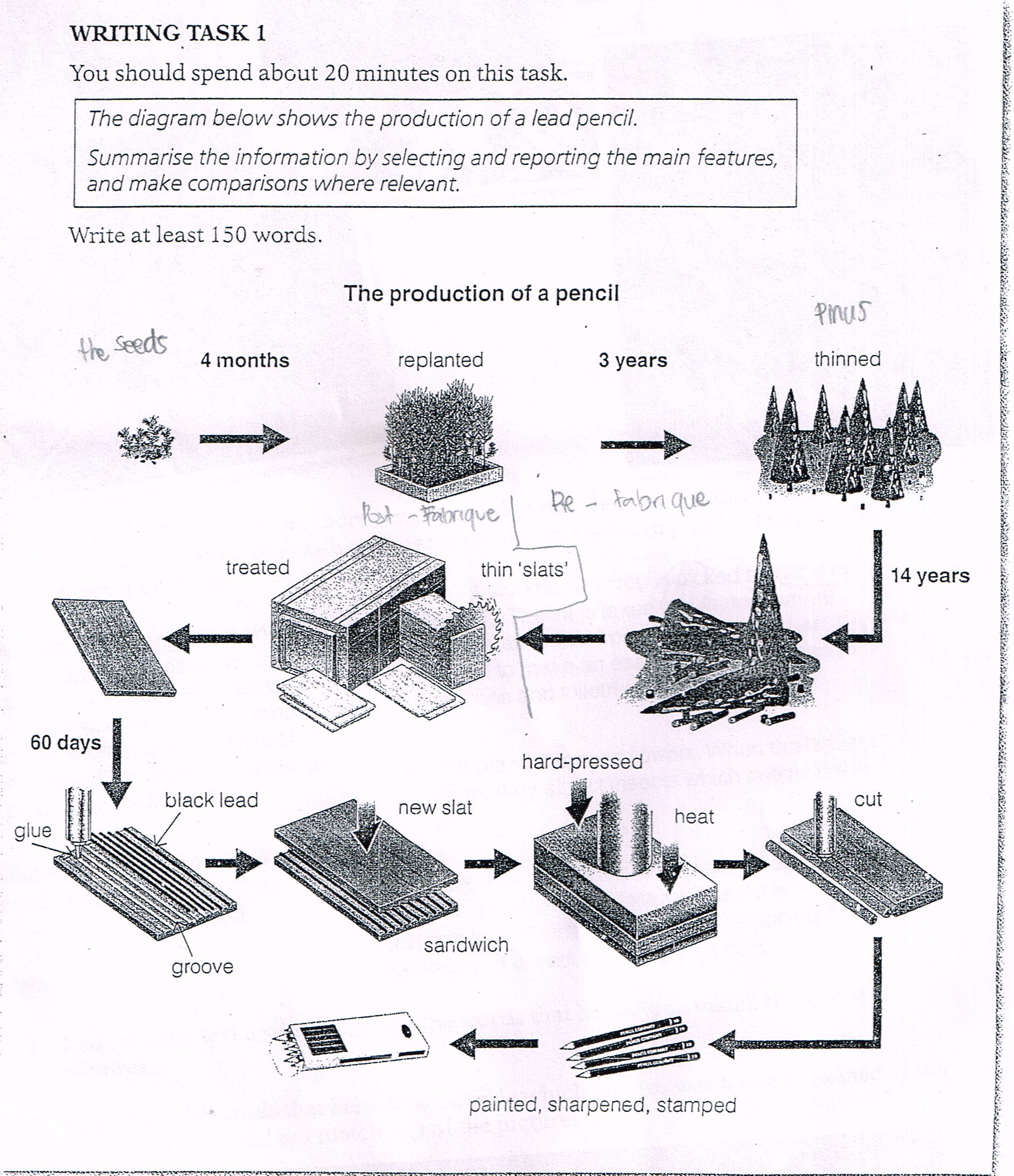 Task process. Diagram IELTS task 1. IELTS task 1 process. IELTS task 1 diagram Sample. IELTS writing task 1 process diagram.