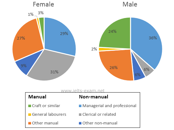 The two pie charts below show some employment patterns in 