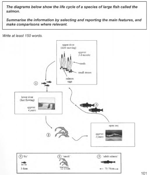 ielts book 10 test 4 writing task 1