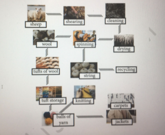 The diagram details the process of making wool Summarise the ...