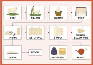 The picture shows the process of making wool Summarise the information ...