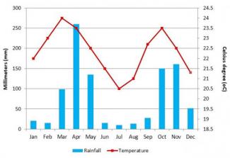 The graph and bar chart below show the average monthly rainfall and ...