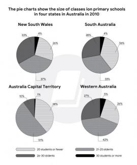 Topic The pie charts show the size of classes in primary schools in ...