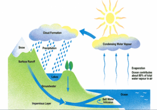 The diagram below shows the water cycle which is the continuous ...