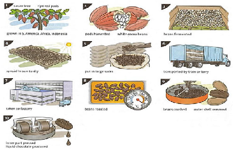 the illustrations show how chocolate is produced | TOEFL IELTS GMAT GRE ...