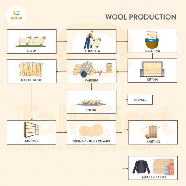 the-picture-shows-the-process-of-making-wool-summarise-the-information