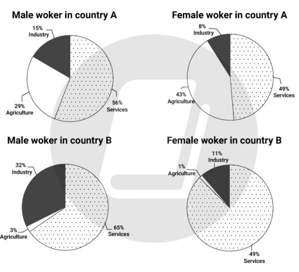 The Charts Below Show The Percentage Of Male And Female Workers In Country A And Country B