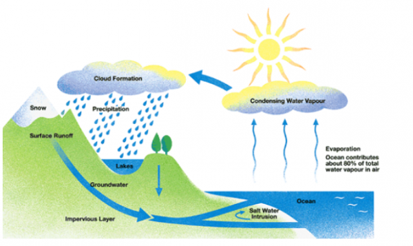 The diagram below shows the water cycle which is the continuous ...