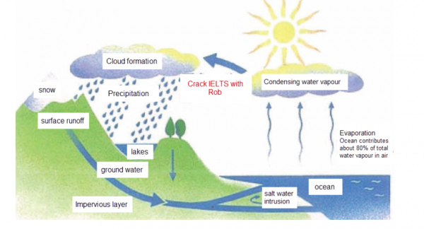 The diagram below shows the water cycle which is the continuous ...