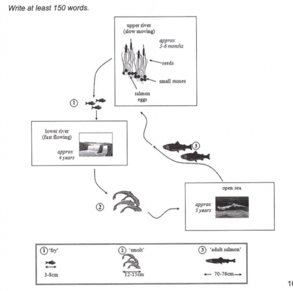 The diagrams below show the life cycle of a species of large fish ...