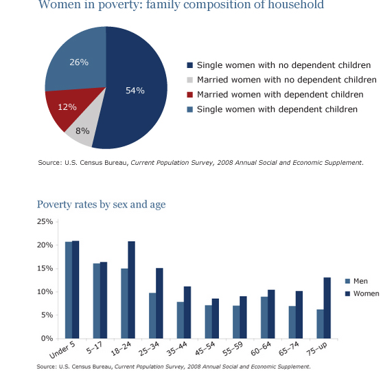 The pie chart shows the percentage of women in poverty and the bar ...