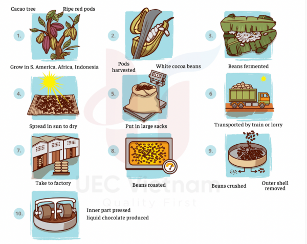 The diagram shows how chocolate is produced Summarize the information ...